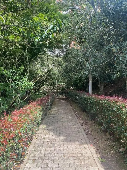 Apto en zona campestre en San Antonio de Pereira Apartamento